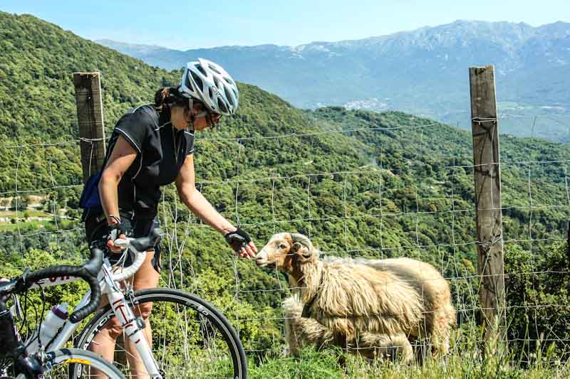 https://bcyclet.deveden.com/wp-content/uploads/2020/02/bike-tour-corsica-51.jpg