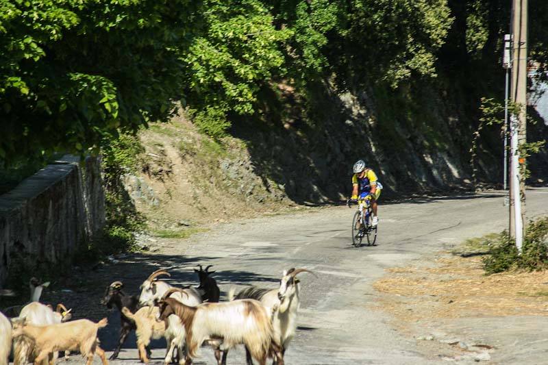 https://bcyclet.deveden.com/wp-content/uploads/2020/02/cycling-tour-corsica-19.jpg